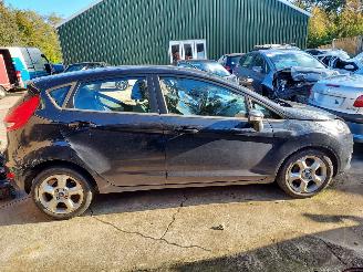 Ford Fiesta  picture 1