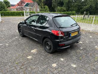 Peugeot 206+  picture 3