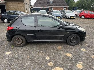 Peugeot 206+  picture 6