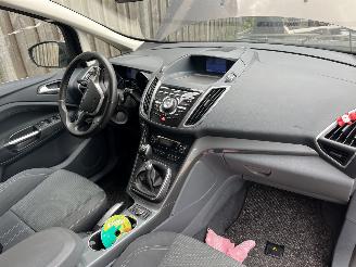 Ford Grand C-Max  picture 10