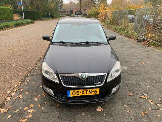 škoda osobní automobily Skoda Fabia 1.2 TDI GREENLINE 2012/9