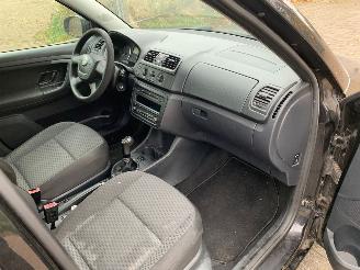 Skoda Fabia 1.2 TDI GREENLINE picture 15