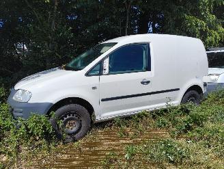 Auto da rottamare Volkswagen Caddy 1.9 TDI 2009/9