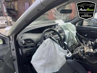 Renault Scenic Scenic III (JZ), MPV, 2009 / 2016 2.0 16V CVT picture 18