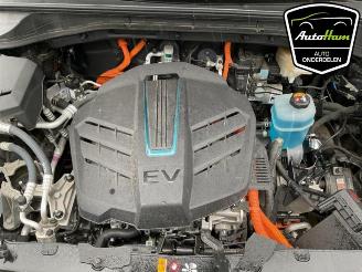 Kia Niro Niro I (DE), SUV, 2016 / 2022 E-Niro 64 kWh picture 30