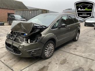 Ford S-Max S-Max (GBW), MPV, 2006 / 2014 2.0 16V picture 4