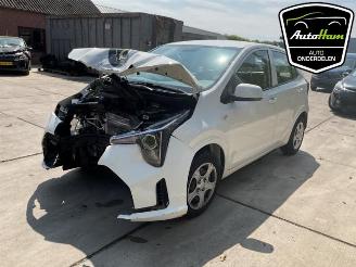 Kia Picanto Picanto (JA), Hatchback, 2017 1.0 DPI 12V picture 4
