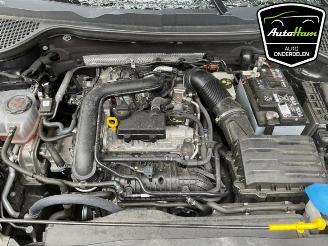 Skoda Karoq Karoq, SUV, 2017 1.0 TSI 12V picture 14