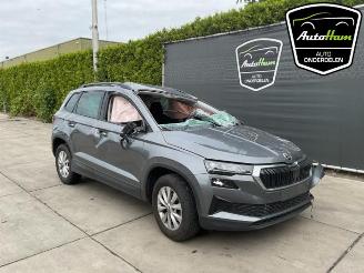 Skoda Karoq Karoq, SUV, 2017 1.0 TSI 12V picture 2