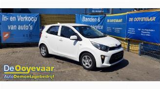 Vrakbiler auto Kia Picanto Picanto (JA), Hatchback, 2017 1.0 12V 2019/11