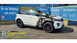 Land Rover Range Rover Evoque Range Rover Evoque (LVJ/LVS), SUV, 2011 / 2019 2.0 Si4 240 16V 5-drs. picture 6