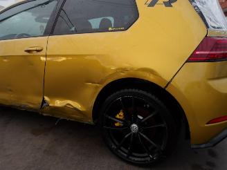 Volkswagen Golf R-TYPE picture 14