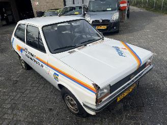 Ford Fiesta 1.1 L Bravo SCHUURVONDST picture 18