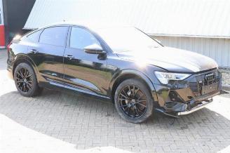 Audi E-tron E-tron Sportback (GEA), SUV, 2019 50 picture 1