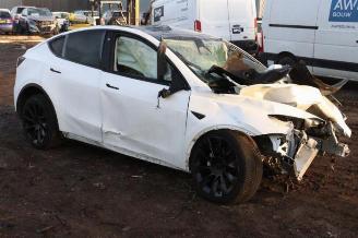 Tesla Model Y Model Y (5YJY), SUV, 2019 RWD picture 7