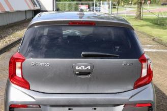 Kia Picanto Picanto (JA), Hatchback, 2017 1.0 12V picture 16
