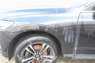 Volvo Xc-60 XC60 II (UZ), SUV, 2017 2.0 B4 16V Mild Hybrid AWD picture 29