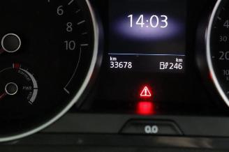 Volkswagen e-Golf Golf VII (AUA), Hatchback, 2012 / 2021 e-Golf picture 18