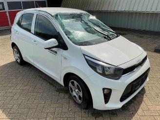 Kia Picanto Picanto (JA), Hatchback, 2017 1.0 DPi 12V picture 1