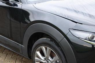 Mazda CX-30 CX-30 (DM), SUV, 2019 2.0 e-SkyActiv-G 122 16V picture 22