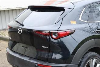 Mazda CX-30 CX-30 (DM), SUV, 2019 2.0 e-SkyActiv-G 122 16V picture 31