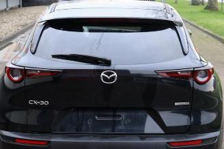 Mazda CX-30 CX-30 (DM), SUV, 2019 2.0 e-SkyActiv-G 122 16V picture 32