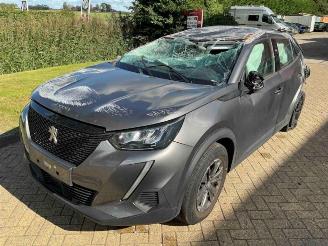 Peugeot 2008 2008 (UD/UK/UR/US/UX), MPV, 2019 1.2 VTi 12V PureTech 100 picture 7