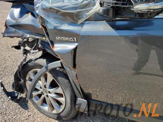 Toyota Rav-4 RAV4 (A4), Terreinwagen, 2012 / 2019 2.5 Hybrid 16V VVT-i 4x4 picture 9