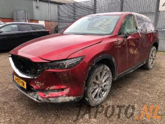 Mazda CX-5 CX-5 (KF), SUV, 2016 2.0 SkyActiv-G 165 16V 4WD picture 10