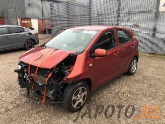 Kia Picanto Picanto (JA), Hatchback, 2017 1.0 12V picture 1