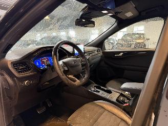 Ford Kuga 2.5 PHEV ST-Line X picture 18