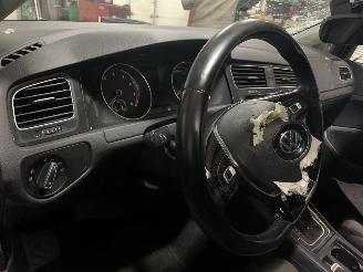 Volkswagen Golf Golf VII Variant picture 11