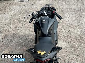 Kawasaki  Ninja 125 picture 22