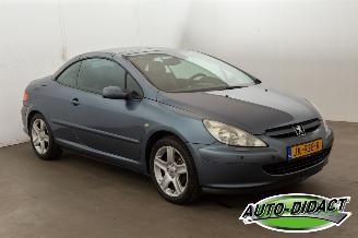 Peugeot 307 CC 2.0-16V Motorschade picture 2