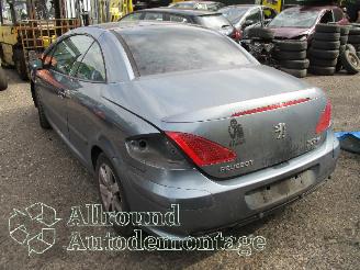 Peugeot 307 307 CC (3B) Cabrio 2.0 16V (EW10J4(RFN)) [100kW]  (10-2003/06-2005) picture 4