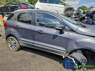 Ford EcoSport EcoSport (JK8), SUV, 2013 1.0 EcoBoost 12V 125 picture 10