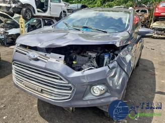 Ford EcoSport EcoSport (JK8), SUV, 2013 1.0 EcoBoost 12V 125 picture 16