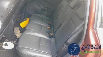 Ford C-Max C-Max (DXA), MPV, 2010 / 2019 1.5 Ti-VCT EcoBoost 150 16V picture 21