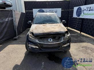 Ssang yong Rexton Rexton W, SUV, 2012 / 2017 2.2 RX 220 E-XDI 16V 2WD picture 2