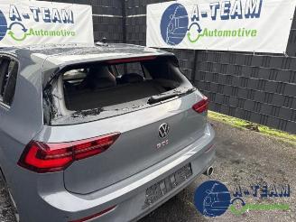 Volkswagen Golf Golf VIII (CD1), Hatchback, 2019 2.0 GTI 16V picture 16