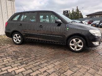 Skoda Fabia Fabia II Combi Combi 5-drs 1.2 TDI 12V Greenline (CFWA) [55kW]  (05-20=
10/12-2014) picture 7