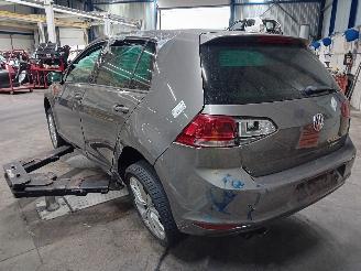 Volkswagen Golf Golf VII (AUA) Hatchback 1.4 TSI 16V (CMBA(Euro 5)) [90kW]  (11-2012/0=
3-2020) picture 4