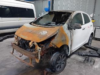 Salvage car Kia Picanto Picanto (JA) Hatchback 1.0 12V (G3LD) [49kW]  (03-2017/...) 2023