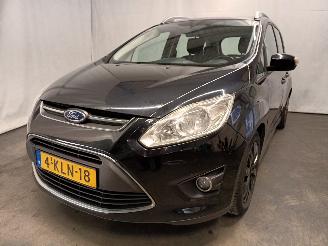 Ford Grand C-Max Grand C-Max (DXA) MPV 1.0 Ti-VCT EcoBoost 12V 125 (M1DA(Euro 5)) [92kW=
]  (10-2012/06-2019) picture 1