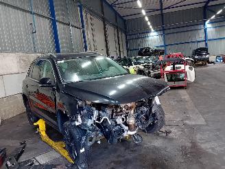 Volkswagen Tiguan Tiguan (5N1/2) SUV 1.4 TSI 16V 4Motion (BWK(Euro 5)) [110kW]  (09-2007=
/07-2018) picture 2