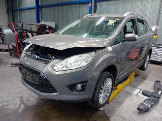Ford Grand C-Max Grand C-Max (DXA) MPV 1.0 Ti-VCT EcoBoost 12V 125 (M1DA(Euro 5)) [92kW=
]  (10-2012/06-2019) picture 1