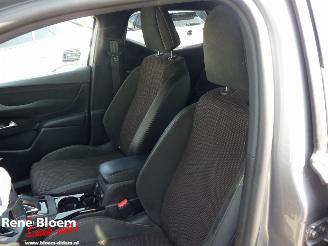 DS Automobiles DS 3 Crossback E-Tense Business 50 kWh picture 17