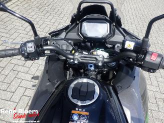 Kawasaki Versys 650 picture 21