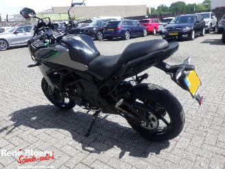 Kawasaki Versys 650 picture 6
