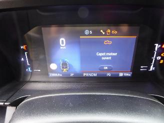 Ford Ranger Wildtrak e-4WD Doppelkabine picture 22